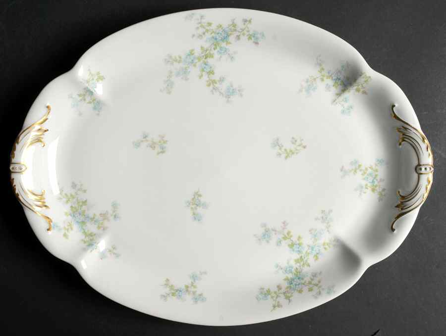 Schleiger 29i 16" Oval Serving Platter by Haviland-1