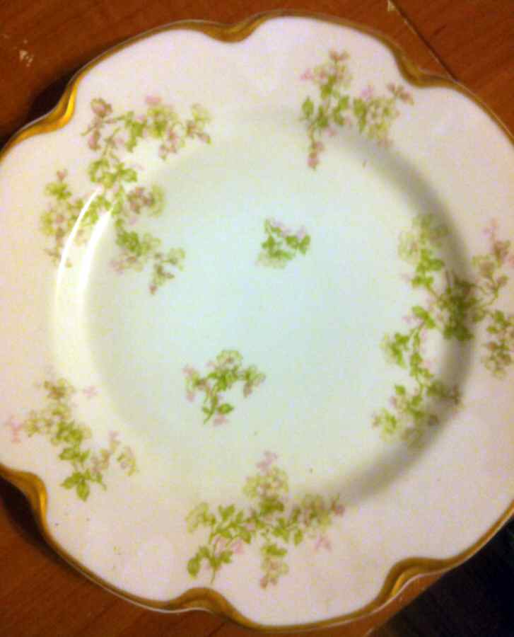 Schleiger 29J Salad Plate by Haviland-1