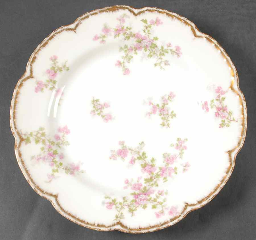 Schleiger 29K Dinner Plate by Haviland-1
