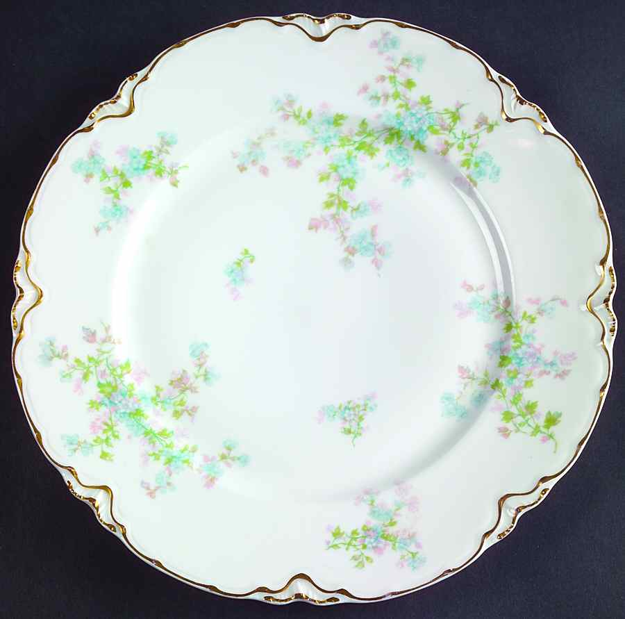 Schleiger 29n Dinner Plate by Haviland-1