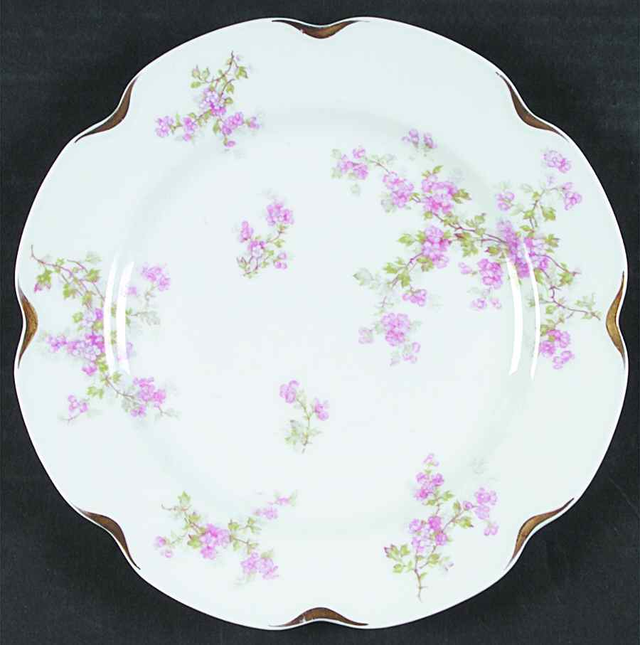 Schleiger 29o Salad Plate by Haviland-1