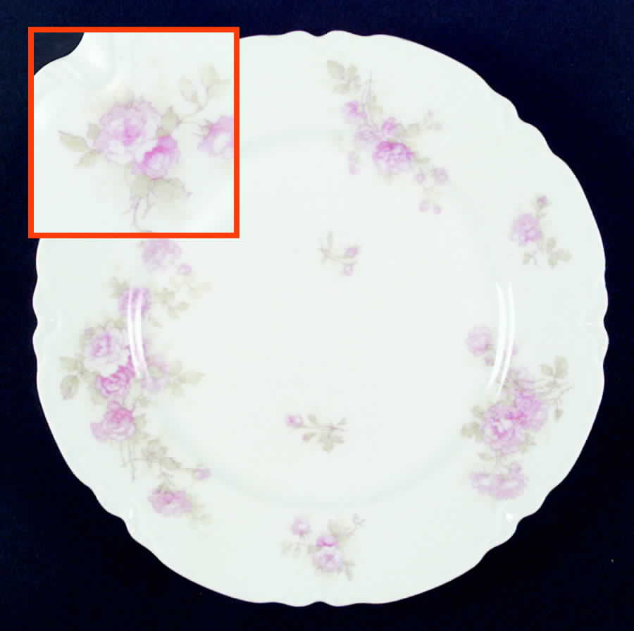 Schleiger 30c Salad Plate by Haviland-1