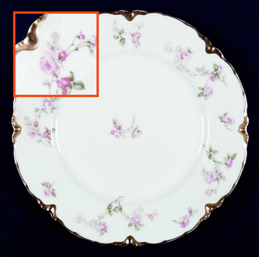 Schleiger 31 Dinner Plate by Haviland-1