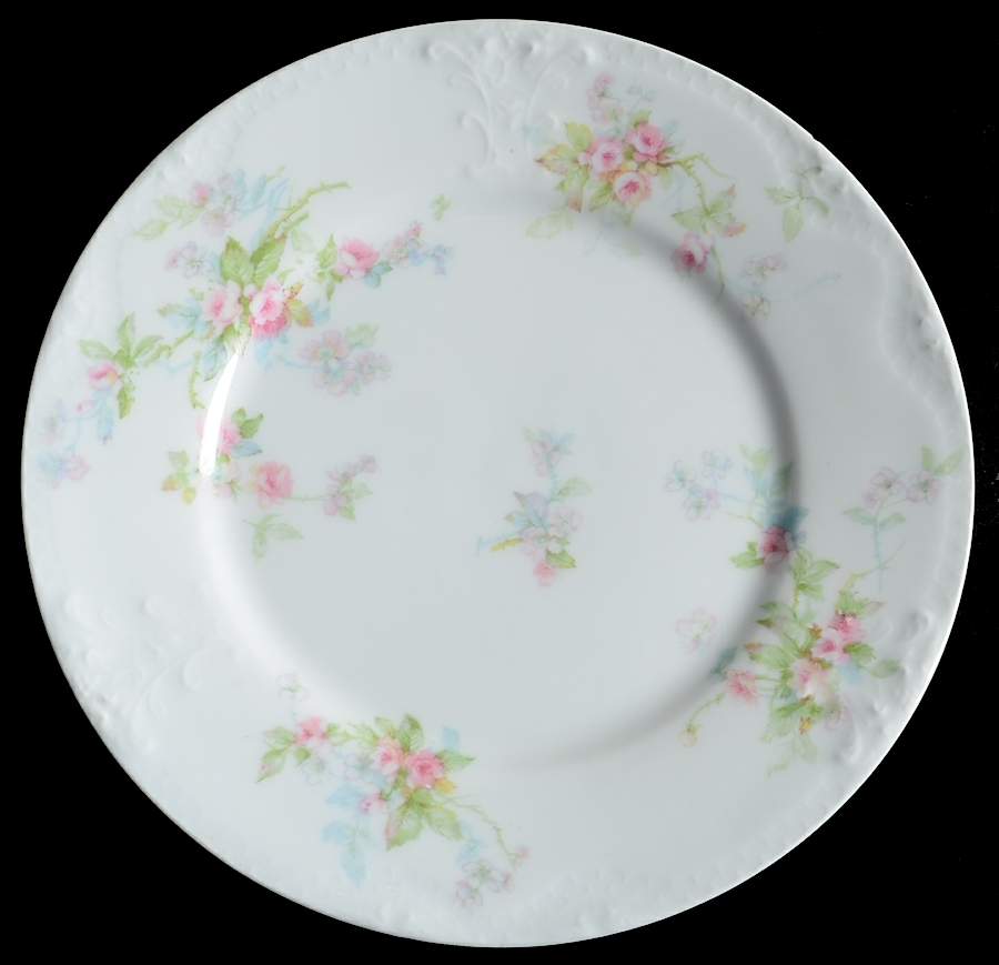 Schleiger 310A Salad Plate by Haviland-1
