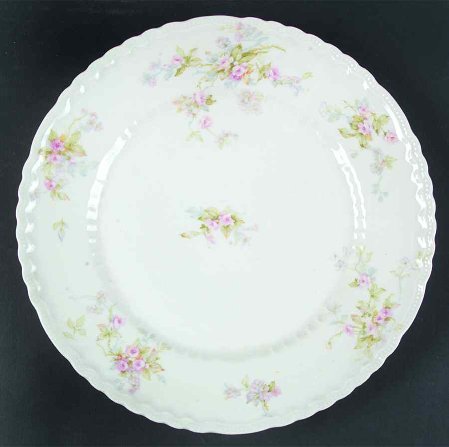 Schleiger 310c Dinner Plate by Haviland-1
