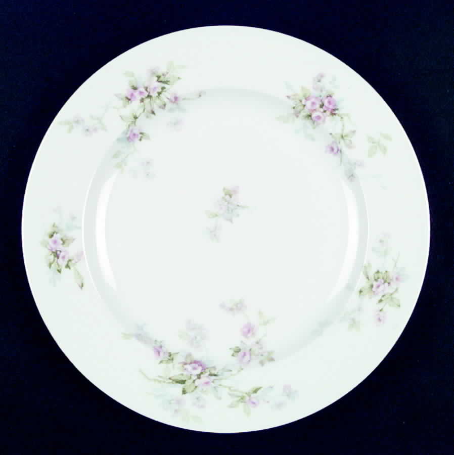 Schleiger 310d Luncheon Plate by Haviland-1
