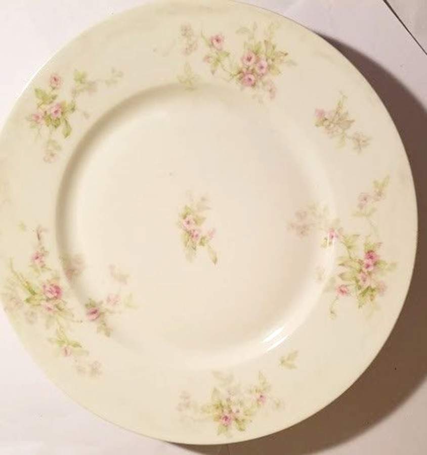 Schleiger 310d Dinner Plate by Haviland-1