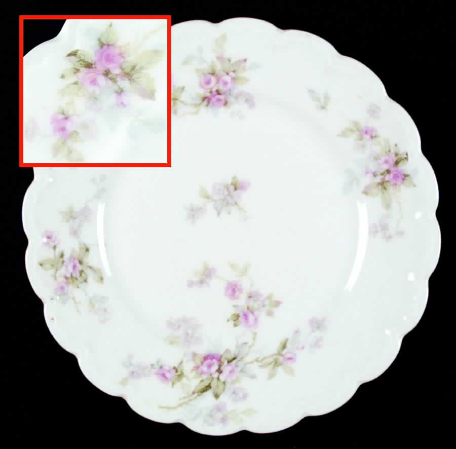 Schleiger 310g Salad Plate by Haviland-1