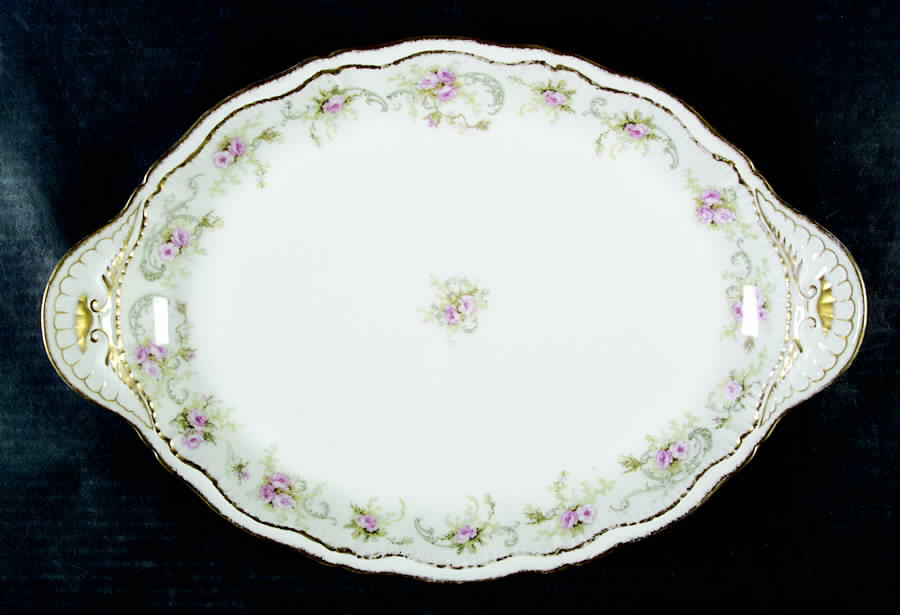 Schleiger 312E 16" Oval Serving Platter by Haviland-1