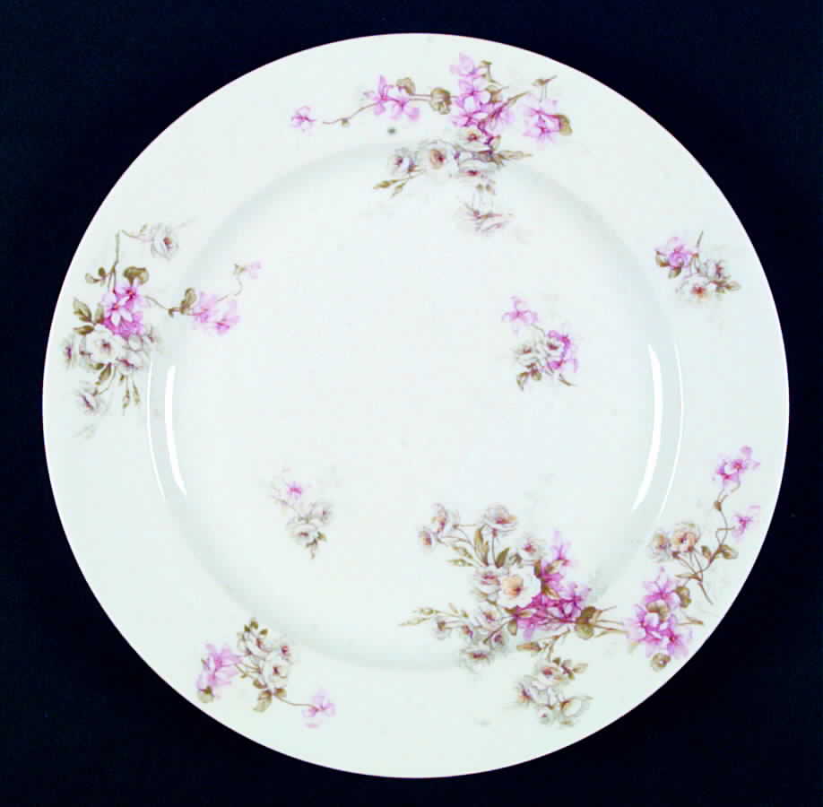 Schleiger 317a Dinner Plate by Haviland-1