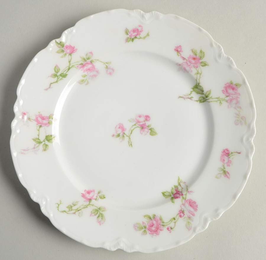Schleiger 31A Salad Plate by Haviland-1