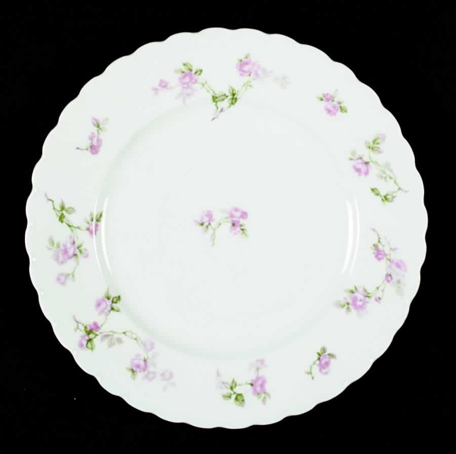 Schleiger 31b Dinner Plate by Haviland-1