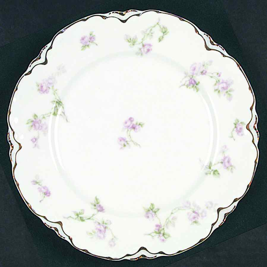 Schleiger 31g Dinner Plate by Haviland-1