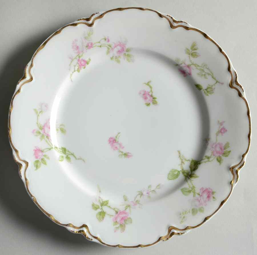 Schleiger 31g Salad Plate by Haviland-1