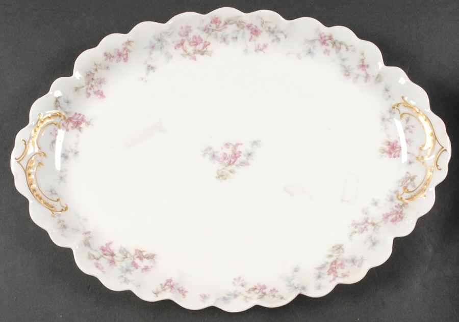 Schleiger 32 14" Oval Serving Platter by Haviland-1