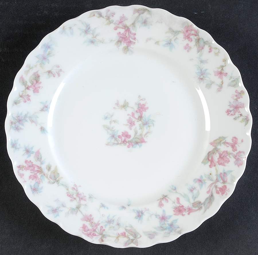Schleiger 32 Salad Plate by Haviland-1