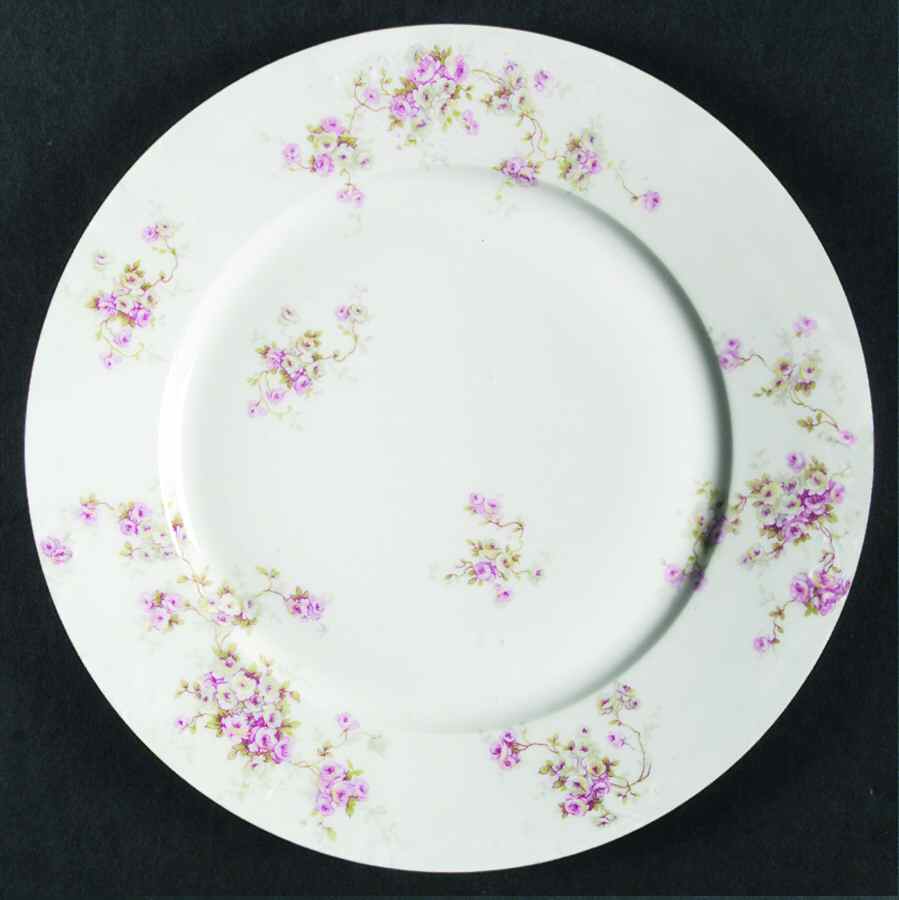 Schleiger 320 Dinner Plate by Haviland-1