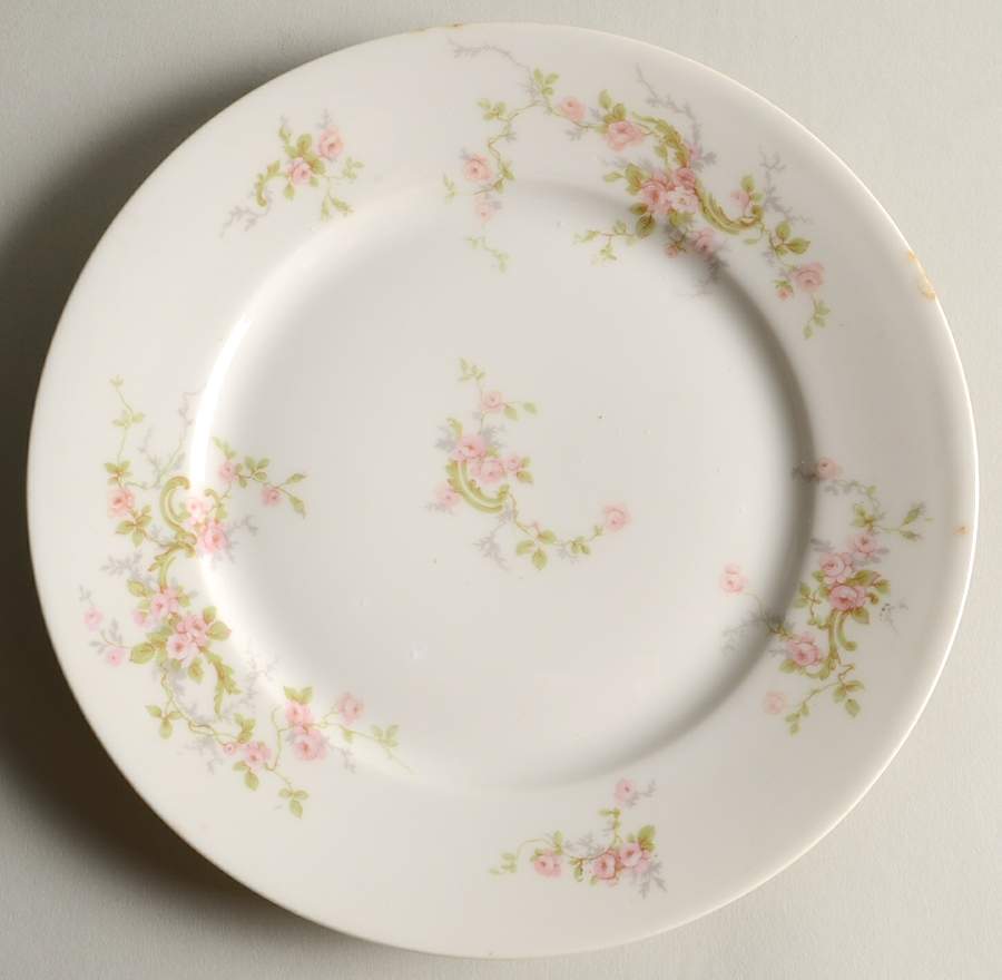 Schleiger 322 Luncheon Plate by Haviland-1
