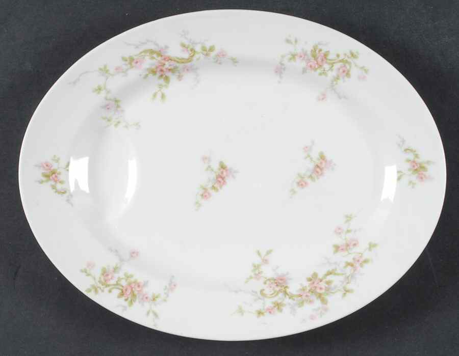 Schleiger 322 11" Oval Serving Platter by Haviland-1