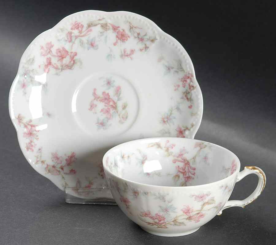 Schleiger 32A Flat Cup & Saucer Set by Haviland-1