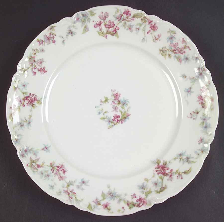 Schleiger 32C Dinner Plate by Haviland-1