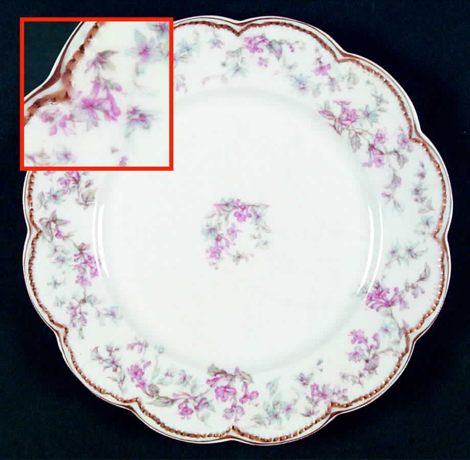 Schleiger 32F Dinner Plate by Haviland-1