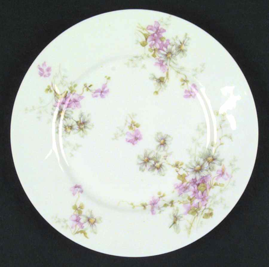 Schleiger 331l Salad Plate by Haviland-1