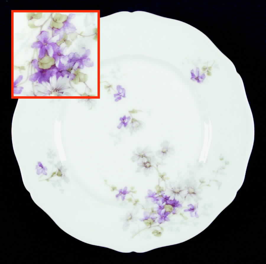 Schleiger 331r Salad Plate by Haviland-1