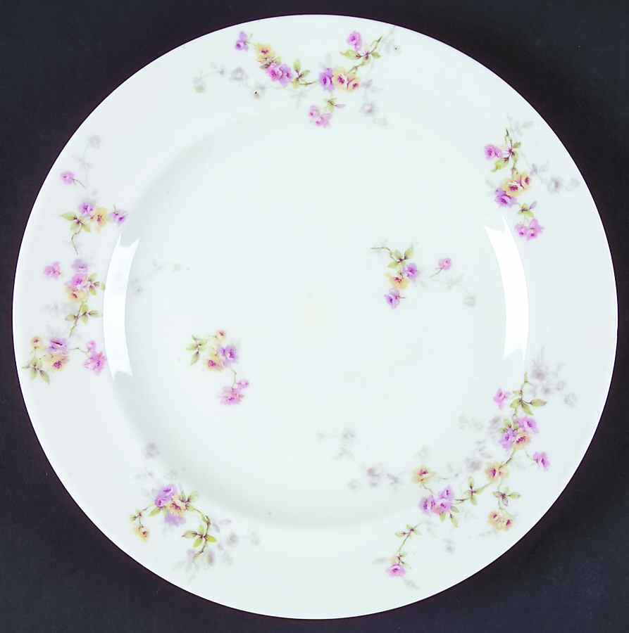 Schleiger 339C Dinner Plate by Haviland-1