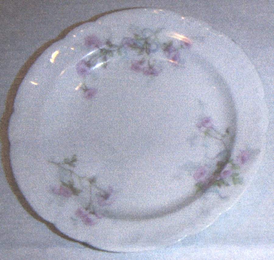 Schleiger 342F Butter Pat by Haviland-1