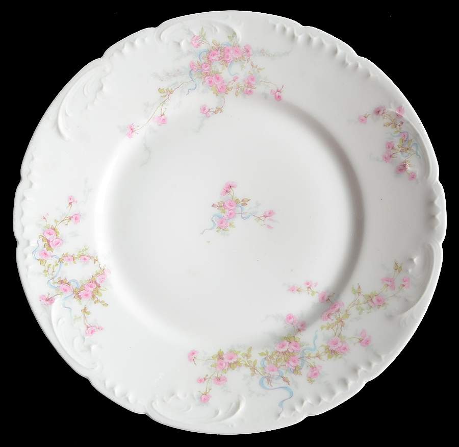 Schleiger 342F Salad Plate by Haviland-1