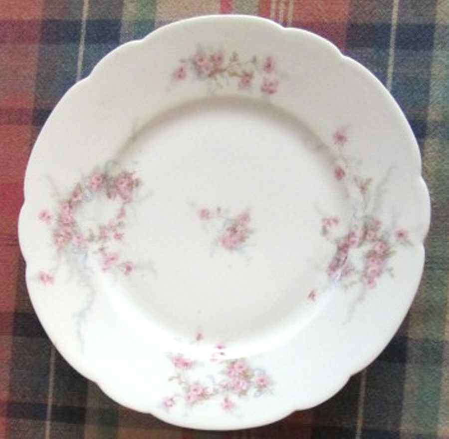Schleiger 342r Salad Plate by Haviland-1