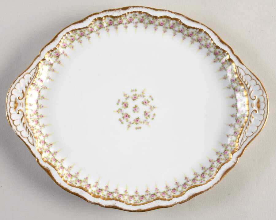 Schleiger 349A 11" Oval Serving Platter by Haviland-1