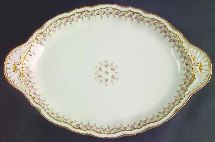 Schleiger 349A 14" Oval Serving Platter by Haviland-1