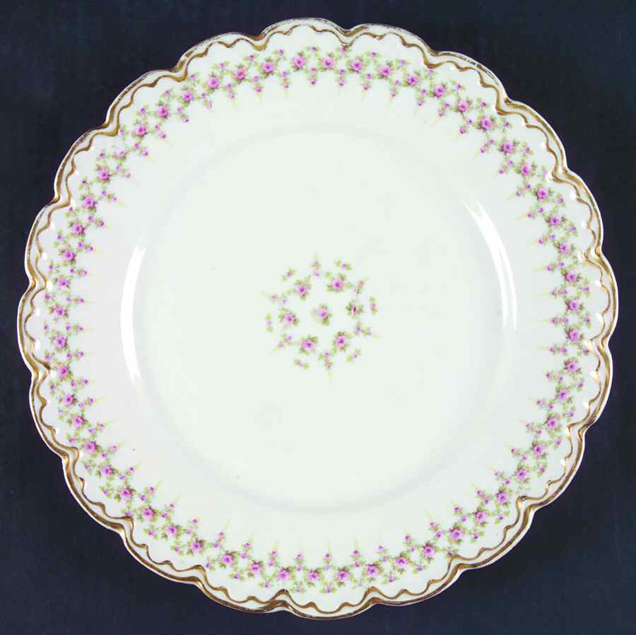 Schleiger 349B Dinner Plate by Haviland-1