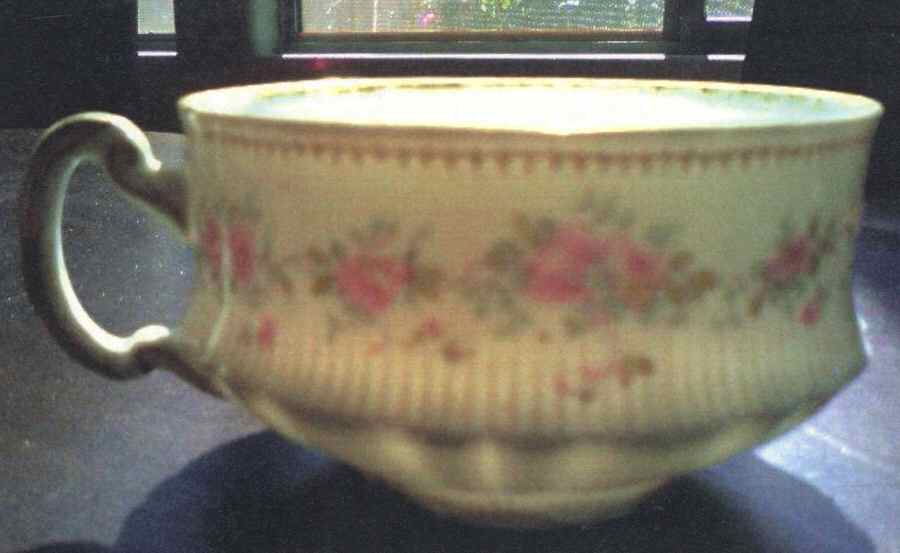 Schleiger 350f Footed Cup by Haviland-1