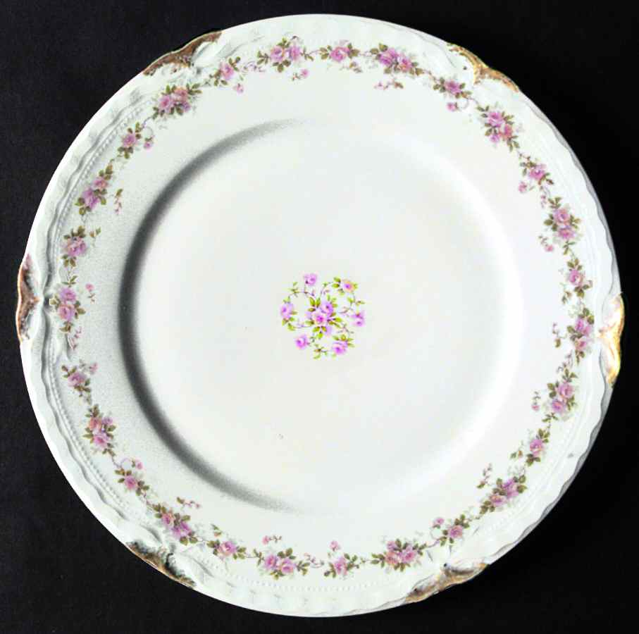 Schleiger 350i Dinner Plate by Haviland-1