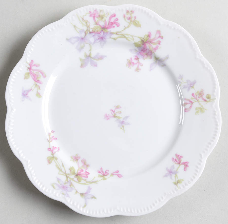 Schleiger 36g Salad Plate by Haviland-1
