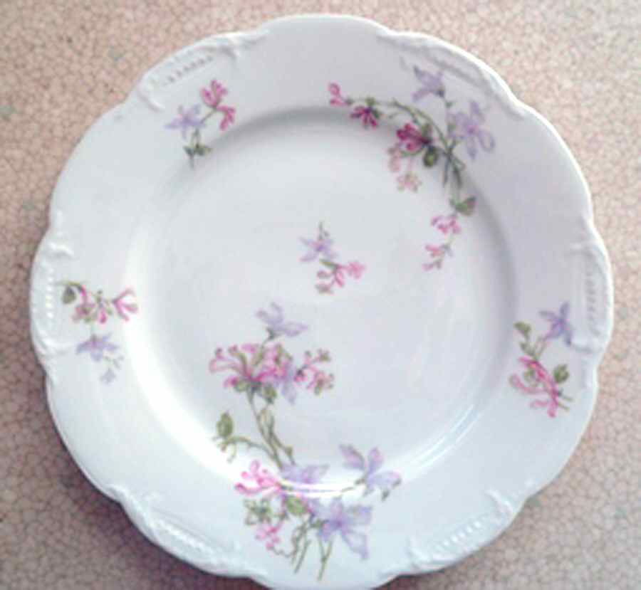 Schleiger 36i Salad Plate by Haviland-1