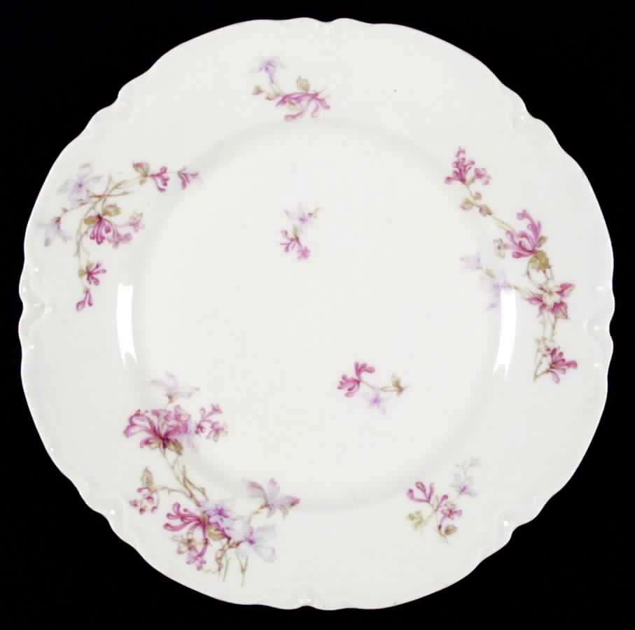 Schleiger 36k Dinner Plate by Haviland-1