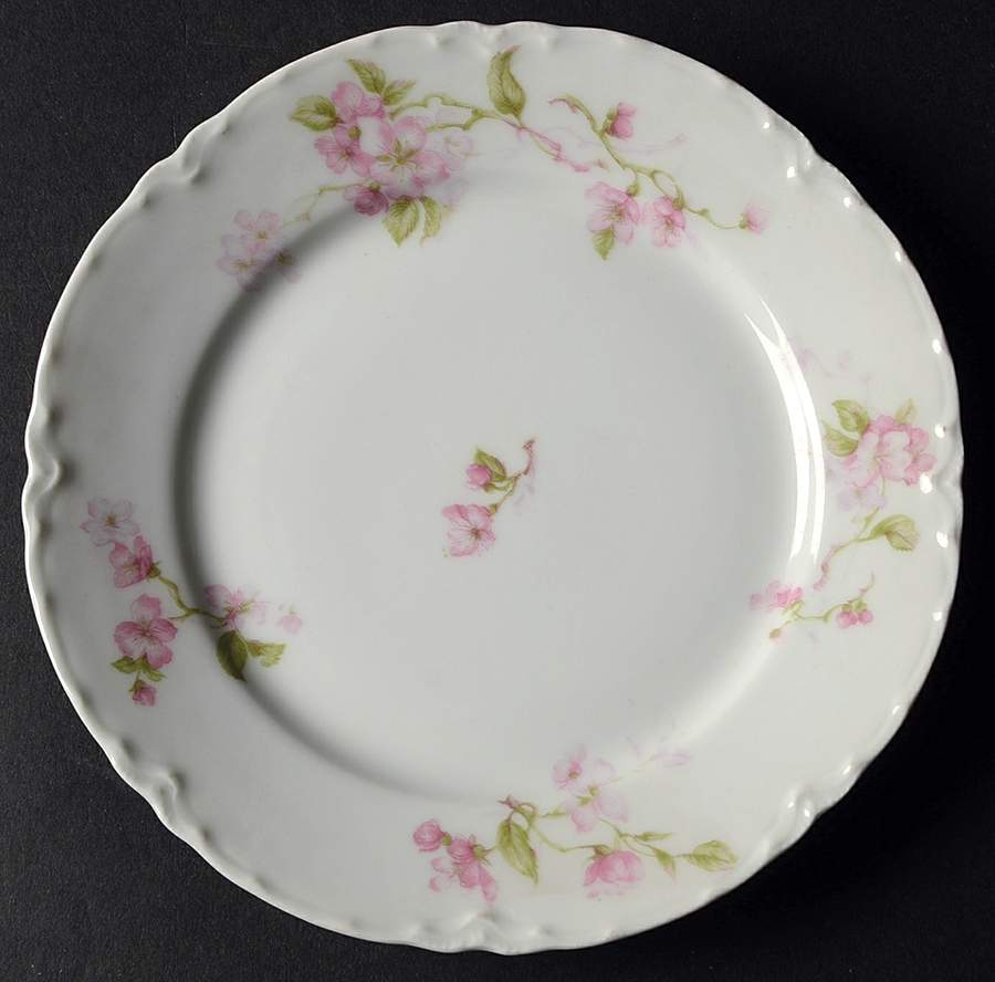 Schleiger 37 Bread & Butter Plate by Haviland-1