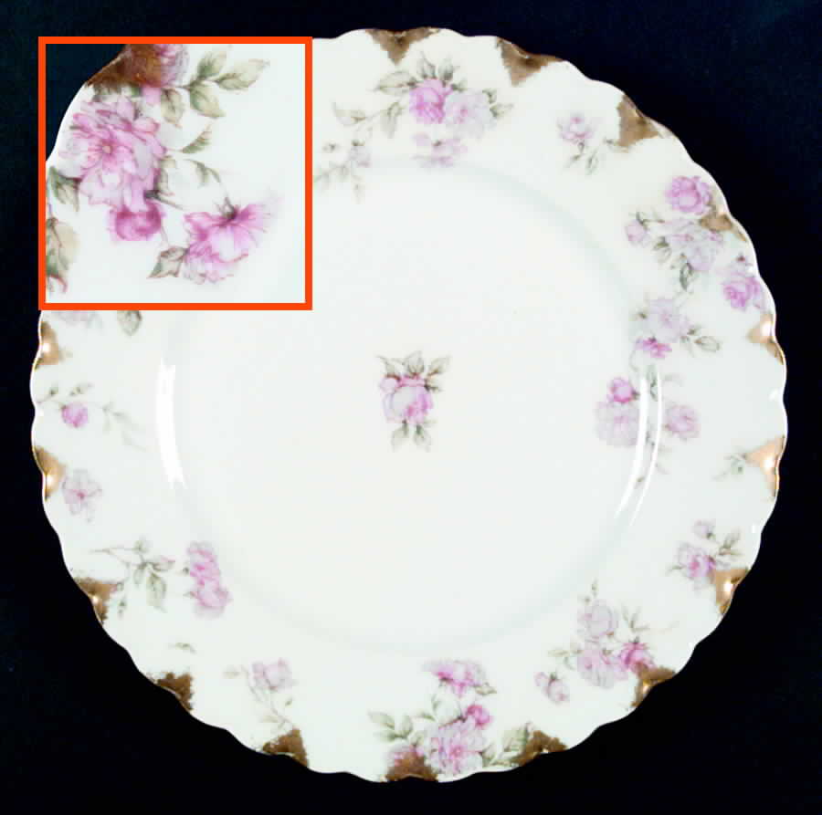 Schleiger 39B Dinner Plate by Haviland-1