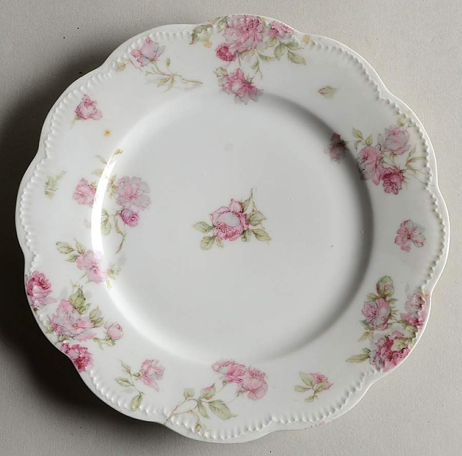 Schleiger 39C Salad Plate by Haviland-1