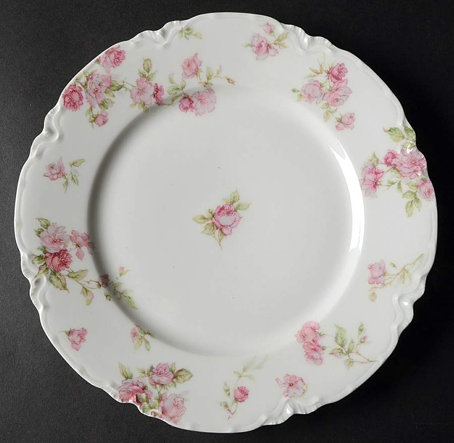Schleiger 39F Dinner Plate by Haviland-1