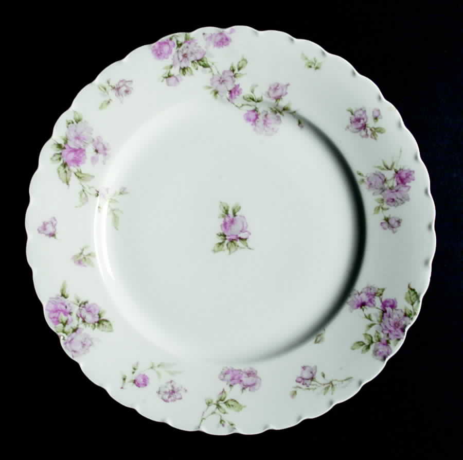 Schleiger 39G Dinner Plate by Haviland-1