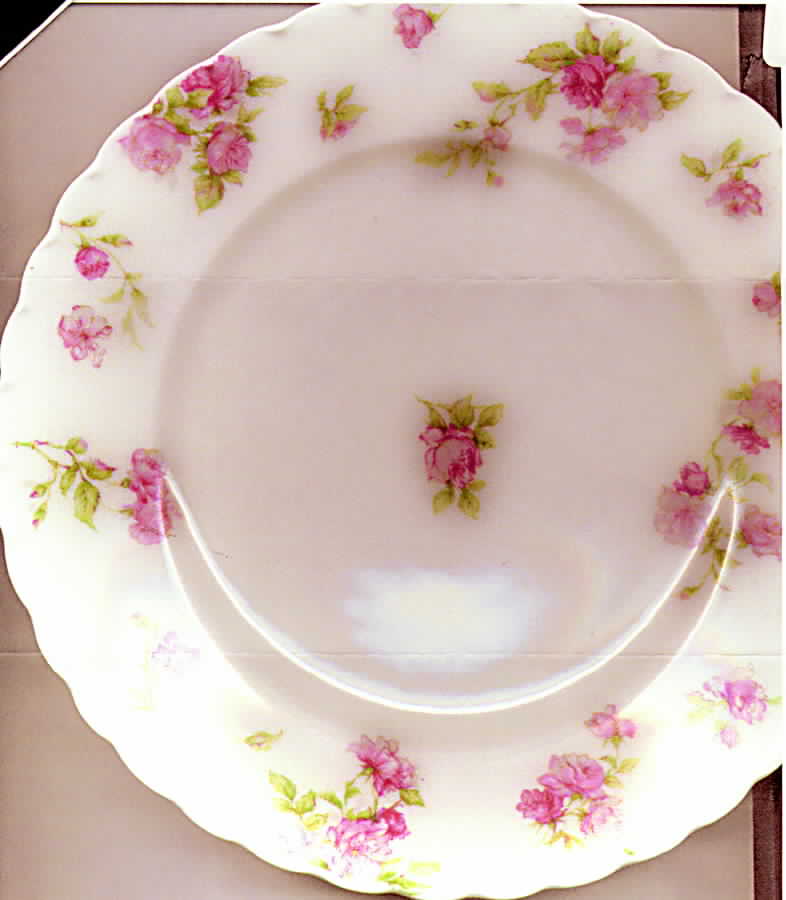Schleiger 39J Dinner Plate by Haviland-1