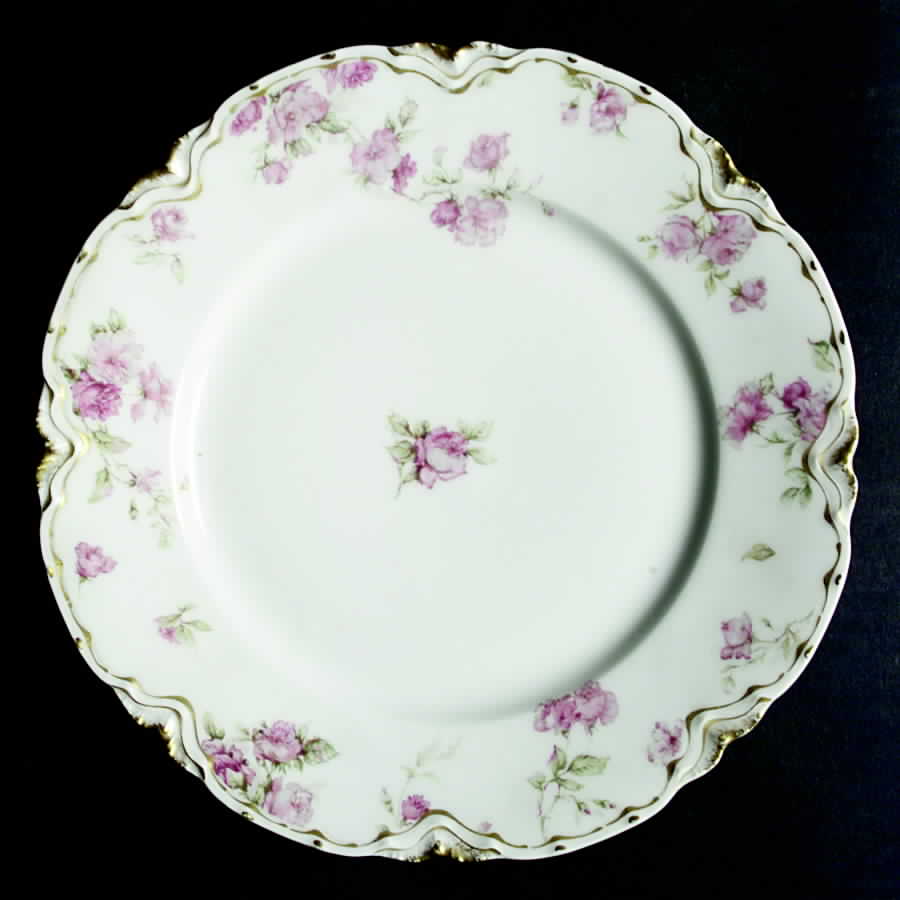 Schleiger 39P Dinner Plate by Haviland-1
