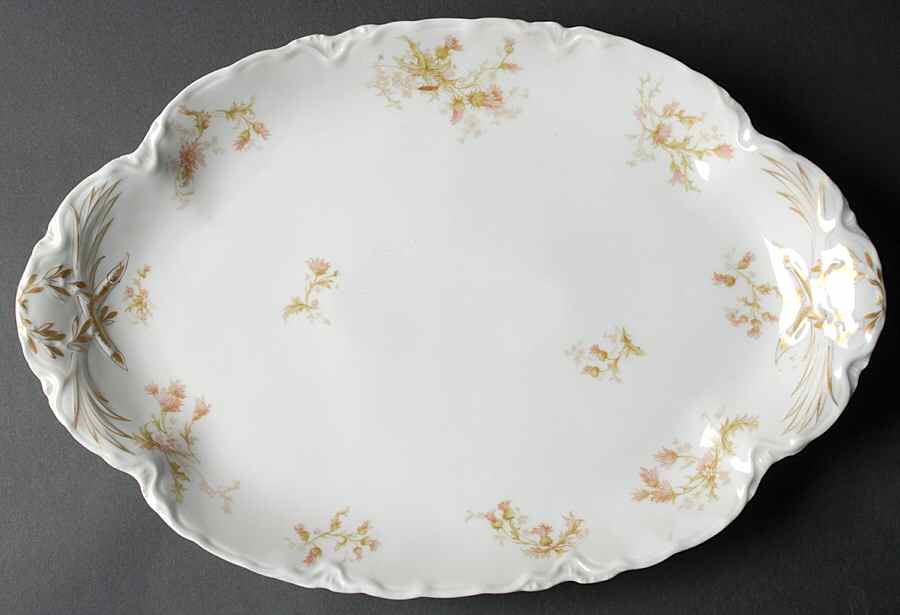 Schleiger 41 15" Oval Serving Platter by Haviland-1