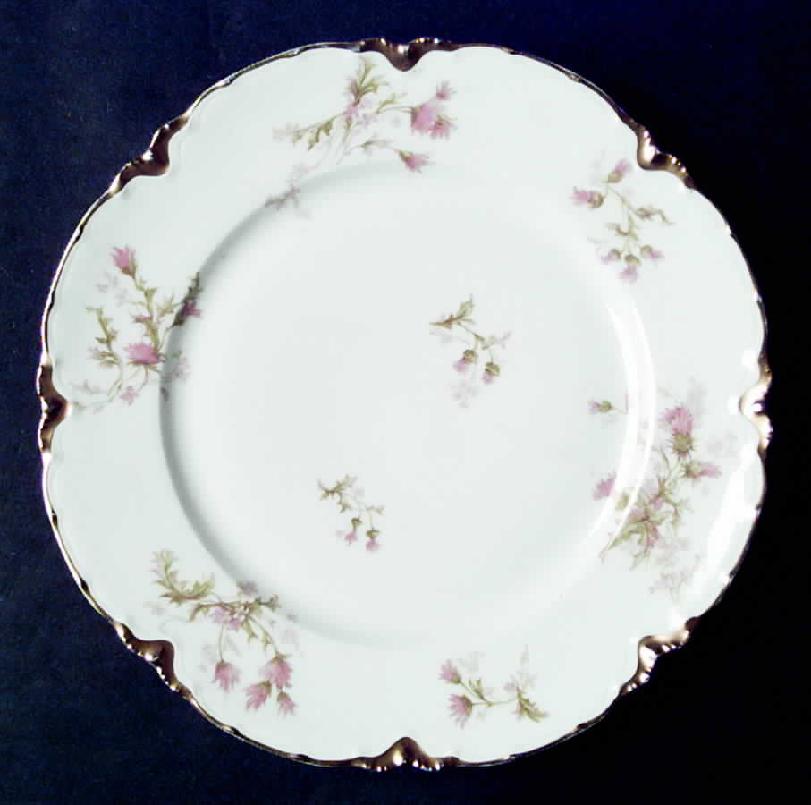 Schleiger 41C Dinner Plate by Haviland-1