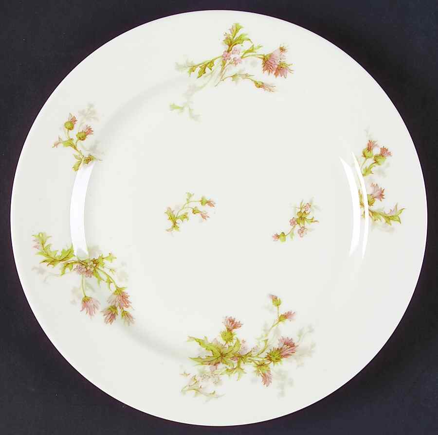 Schleiger 41d Salad Plate by Haviland-1